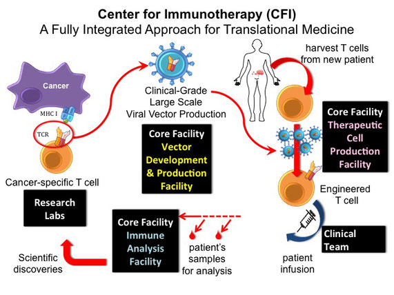 How Immunotherapy works