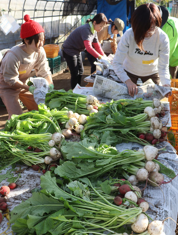 できた野菜のシェア。形も種類も、いろいろ