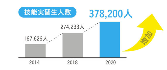 実習生人数グラフ