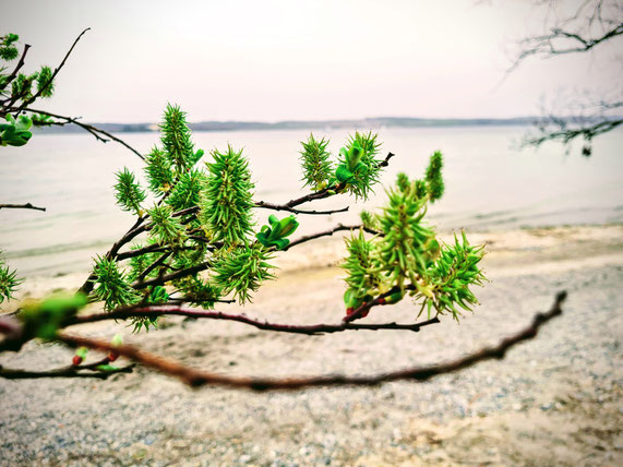 Gleichgewicht -  Stabilität - Spielen mit den Kräften der Natur. Das gleiche geschieht zusätzlich mit Bewegung in meiner Arbeit.