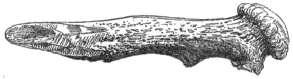 Fig. 169. Spitzhacke oder Hammer. Fundort: Irland.