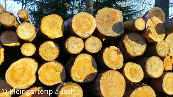 Gestapelte Holzstämme