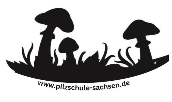 Pilzschule Sachsen, Pilze, Pilze sammeln, Pilzprofi Pilze suchen, Pilze finden, Pilzfreunde, Pilzberatung, Pilz Korb, Waldpilze, Pilze, Pilz, 