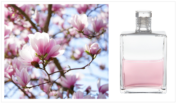 AURA-SOMA® - B11 KLAR/ROSA - ESSENER FLASCHE ! - ERSTE HILFE FÜR LIEBE