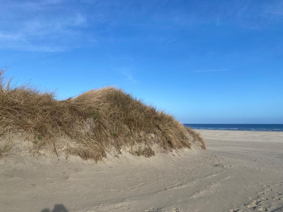 Sandstrand und Dünen Insel Juist. Lohnt sich ein Urlaub auf der Nordseeinsel Juist? Welche Reiseversicherung ist sinnvoll? Benötige ich eine Krankenversicherung? Hier häufige Fragen und Antworten und Impressionen Bilder von der Urlaubsinsel