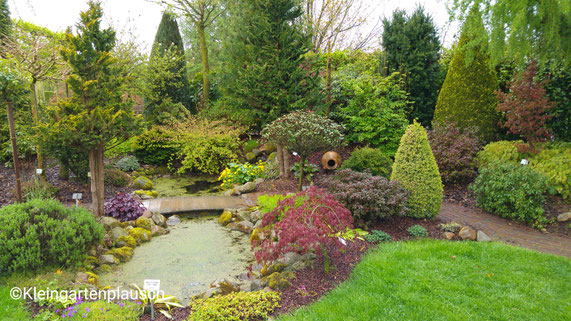 Ein Gestaltungsvorschlag für einen kleinen Garten ...