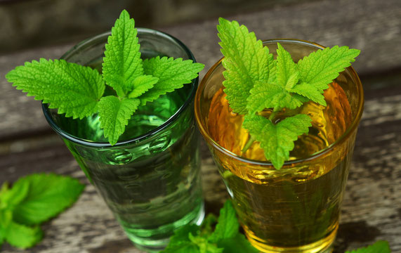 Wildkräuterlimonade einfach und schnell selbst hergestellt
