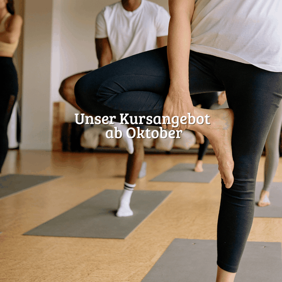 Gruppenkurse finden in Basel