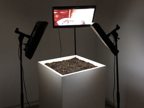 Sofiane Zouggar, plant and politics, Contemporary Algerian art, Memory of Violence, zouggar, video art, algeria civil war, terrorism, photography, soil, experimental art installation, Artefact, Sharjah art, UAE, plants art, Sharjah art Foundation, 