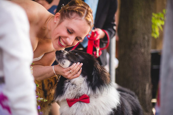 Hochzeitsfotografie Koblenz, Hochzeitsfotografie Wiesbaden