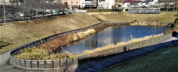 “顔”となる池を中心にスッキリした「木戸が池緑地」