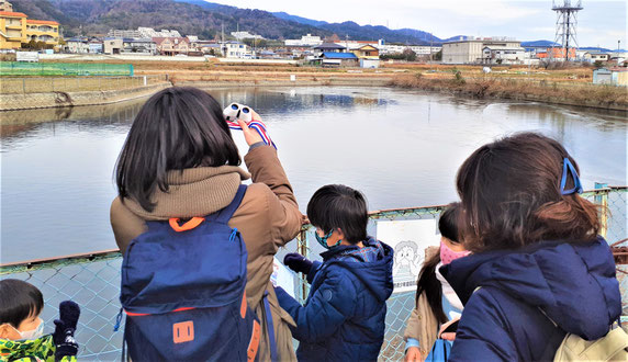 双眼鏡などで・・、親子で観察に夢中。