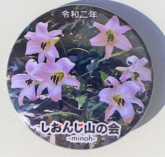 ササユリの缶バッチ(六つ子開花記念)