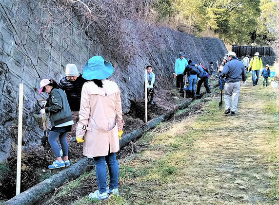 みんなで桜を植える・・