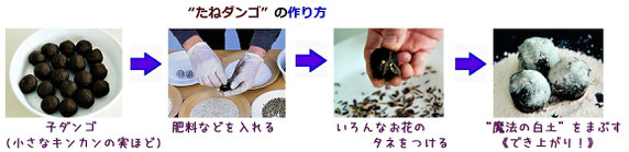 “たねダンゴ”づくりのフロー(流れ)の写真((株)サカタのタネの資料から)