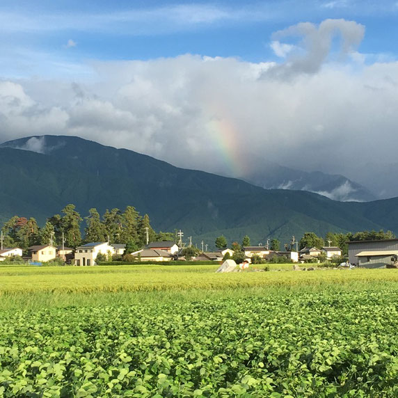 安曇野　松本市　虹　ウォーキング