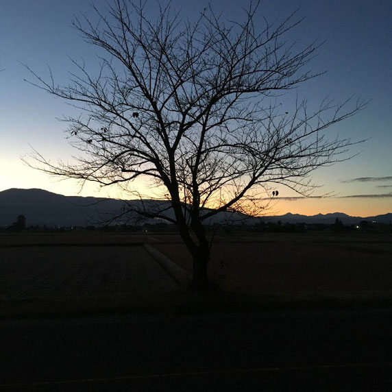 安曇野　松本市　朝焼け　ウォーキング