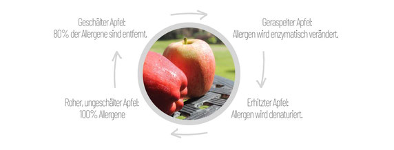 Grafik Apfel mit vier Pfeilen wie der Apfel bekömmlich wird, Apfel rot