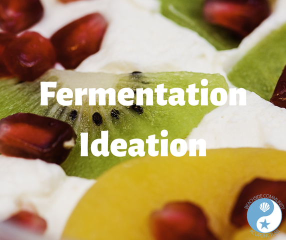 Fermentation Ideation on the Beachside Blog