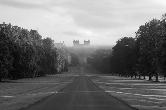 Early Winter Morning on The Long Walk