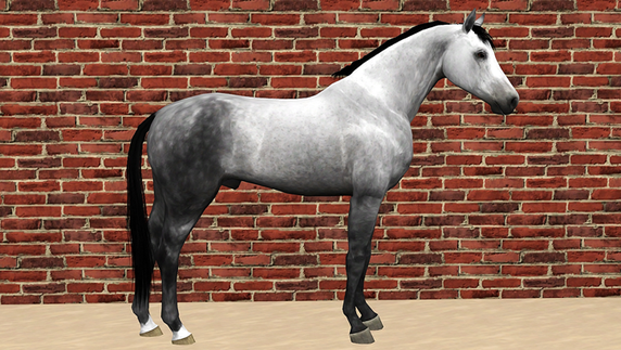 Wrongs classy heartwrenegade stables st charles Wrongs classy heartwrenegade stables st charles