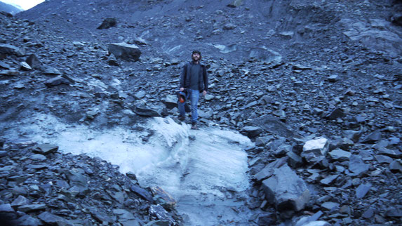 Fox Glacier Morain