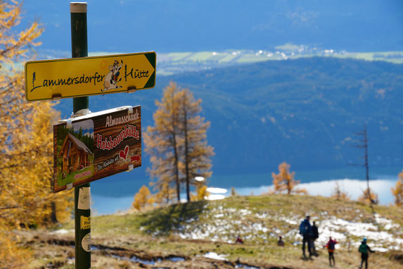 Wegweiser