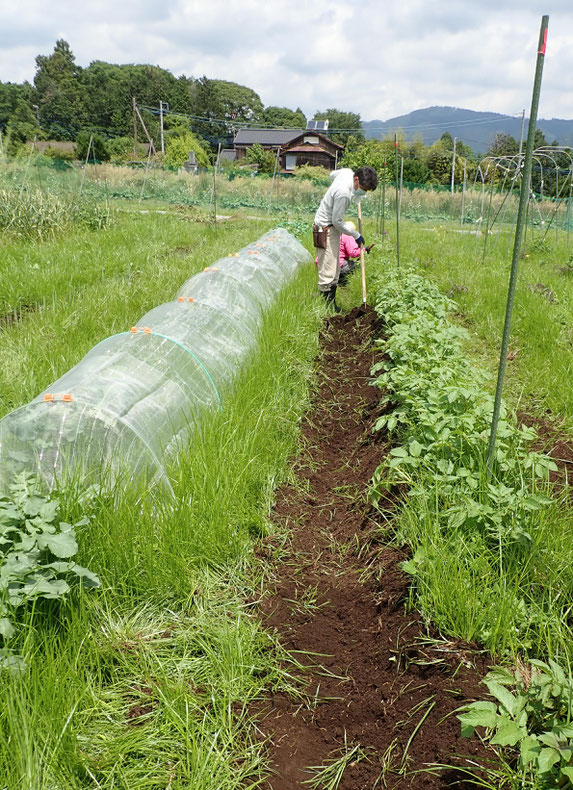 農業体験神奈川　野菜作り教室神奈川　自然栽培神奈川