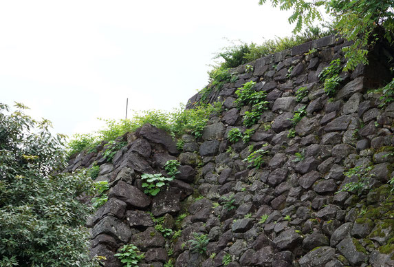 丑寅櫓跡の石垣　野面積み金沢城内最古の石垣２