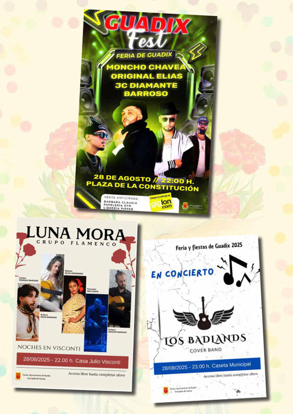 Programa del Mercado Medieval y Feria de Guadix