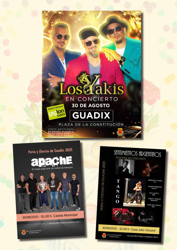 Programa del Mercado Medieval y Feria de Guadix