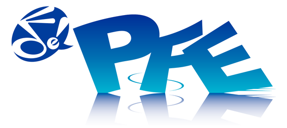 株式会社PFE ～Partner For Entertainment～