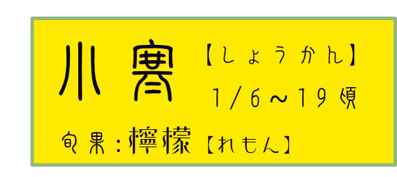 小寒【しょうかん】アイコン　旬果：檸檬