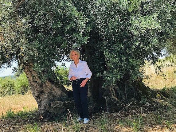 Dr. Armgard Müller-Kicherer – Kopf, Hand und Herz hinter ZitronenTraum" bei der Zitronenernte in Portugal