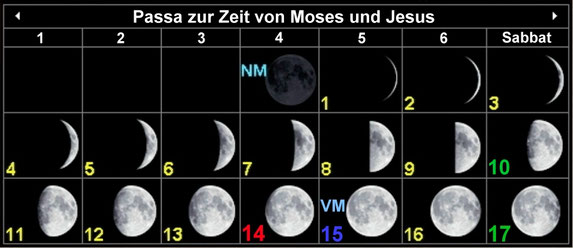 Passahfest Moses Jesus, Palm Sabbat, 10. Nisan