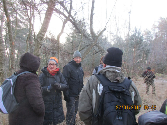 Promenons nous dans le bois pendant qu'il fait bien froid