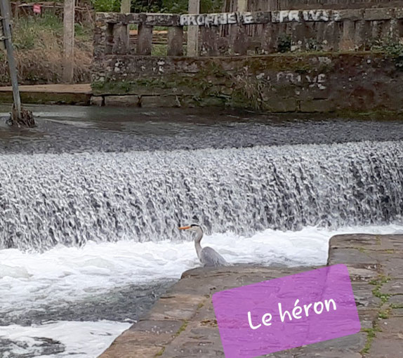 Que d'eau, toujours de l'eau courante