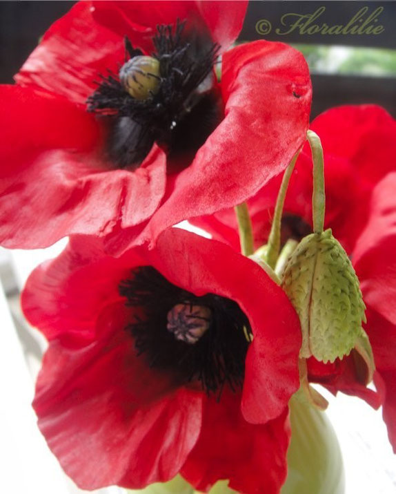 Klatschmohn aus Zucker von Floralilie