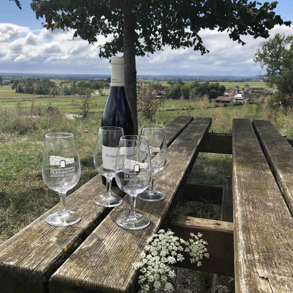 Climats de Bourgogne : Pommard, village des grands vins rouges de la Côte de Beaune