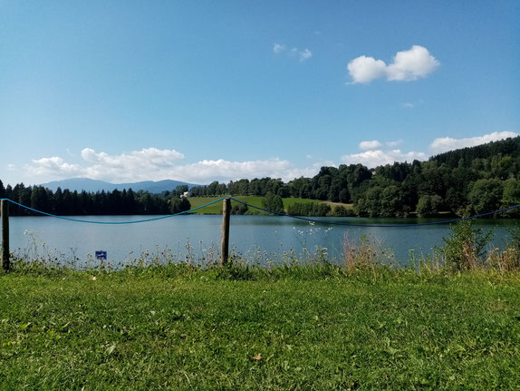 Im Sommer kann im Maltschachersee natürlich auch gebadet werden