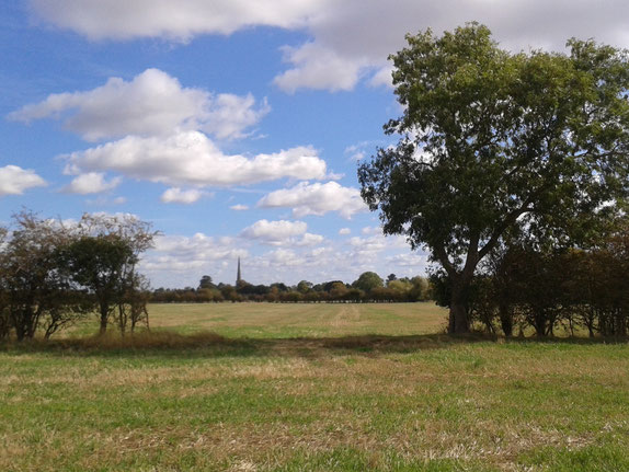 The fields and walks North of the Moors are a crucial part of the 'Green Ring'. Cherwell want to build 350 dwellings here.
