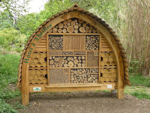 C'est comme ça que nous pouvons aider les insectes et les abeilles solitaires en particulier