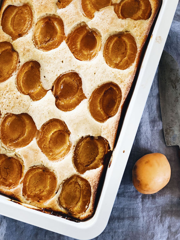 EINFACHER APRIKOSENKUCHEN