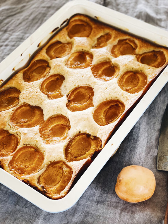 EINFACHER APRIKOSENKUCHEN