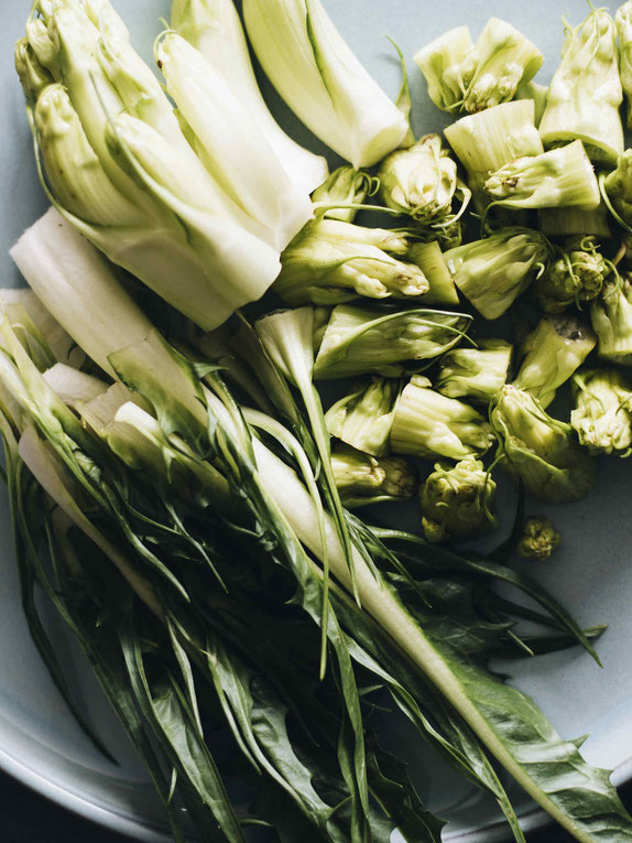 ORECCHIETTE MIT PUNTARELLE