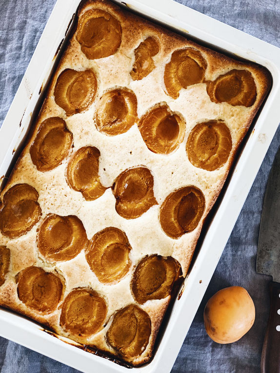 EINFACHER APRIKOSENKUCHEN