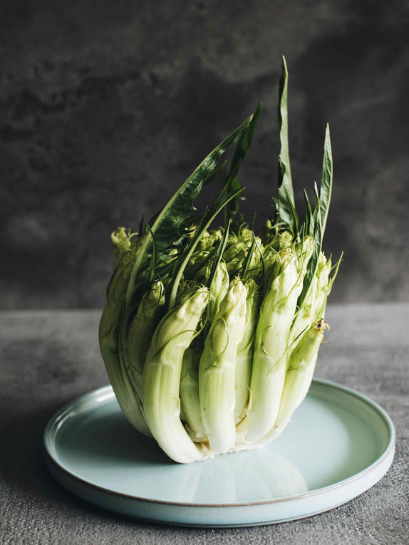 PUNTARELLE-SALAT