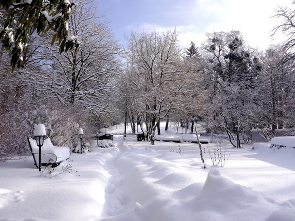 Januar 2021: "Let it snow, let it snow ..." singe ich schon seit dem 1. Advent - nun kam er endlich! – Schnee in Massen! Das Winterkeid steht unserem QuäkerHaus richtig gut, oder?!