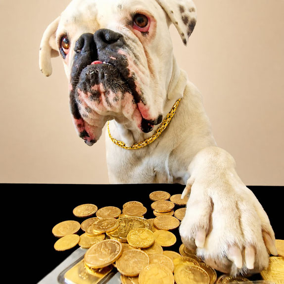 Sicherheitschef Rocky passt auf Ihr Gold auf – M. Franke Gold & Schmuckhandel Mühldorf.