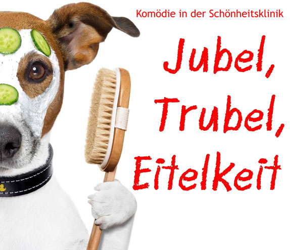 Ein Hund mit Wellnessmaske. Dazu der Titel: "Jubel, Trubel, Eitelkeit"